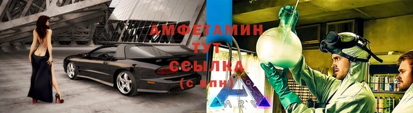 каннабис Белокуриха