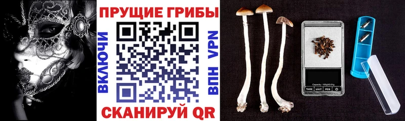 Псилоцибиновые грибы Magic Shrooms  цена наркотик  Усолье-Сибирское 